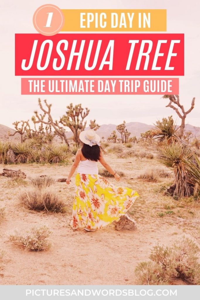 The Ultimate Joshua Tree Day Trip Guide The Perfect One Day In Joshua Tree Itinerary Joshua Tree National Park Guide Joshua Tree Hikes Things To Do In Joshua