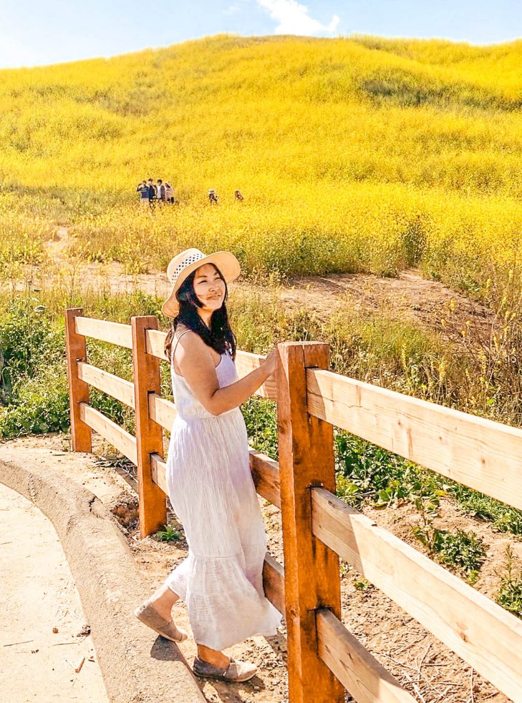 How to See the Chino Hills State Park Wildflowers (Mustard Blooms