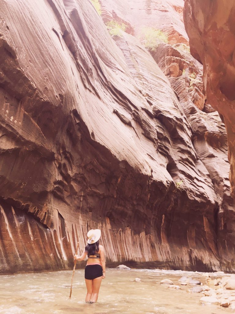 The Narrows Hike in Zion National Park (Bottomup Day Hike)