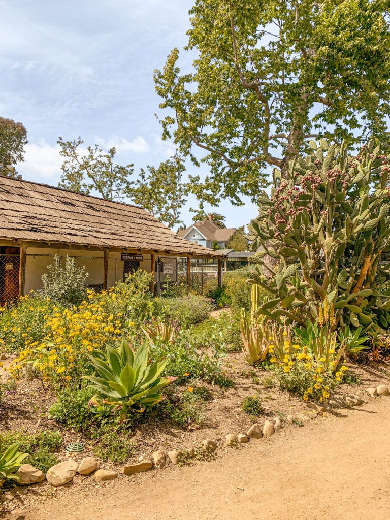 10 Charming Things to Do in San Juan Capistrano, CA (the OC's Historic