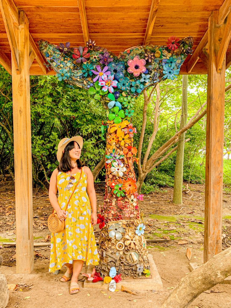 14 Fun Things to Do in Nosara Costa Rica's Pura Vida Surf Town