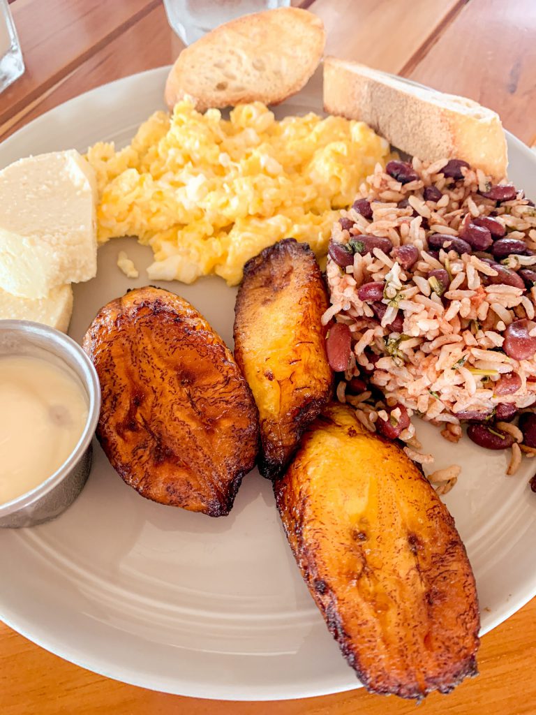 14 Fun Things to Do in Nosara Costa Rica's Pura Vida Surf Town