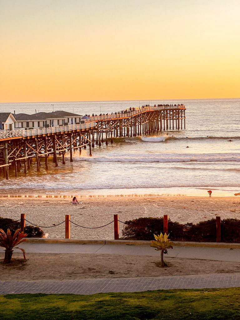 Pier fishing off of Crystal Pier in San Diego, California : r/Fishing