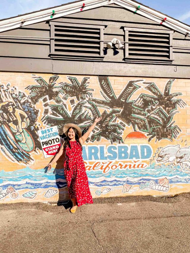 25 Fun Things to Do in Carlsbad, California A Complete Guide