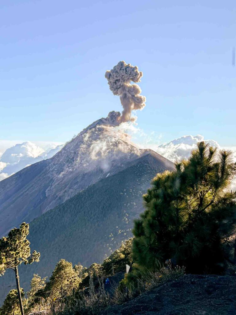 Fuego with large puffs of smoke in the daytime, against a blue sky