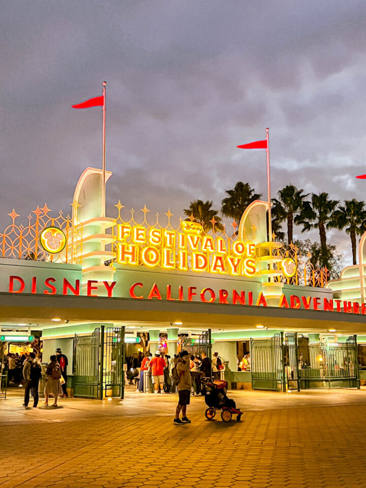 The Ultimate Disneyland Christmas Guide Best Food, Decorations